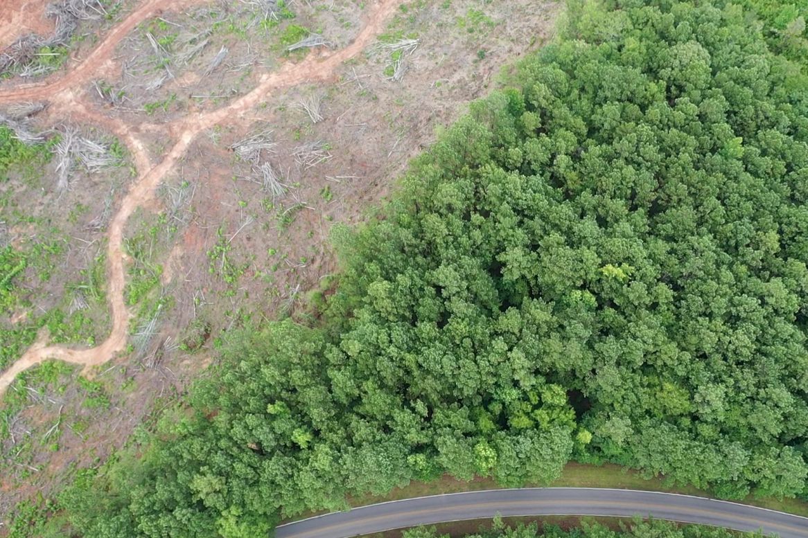 Triune Mill Road - Thomaston Photo 3