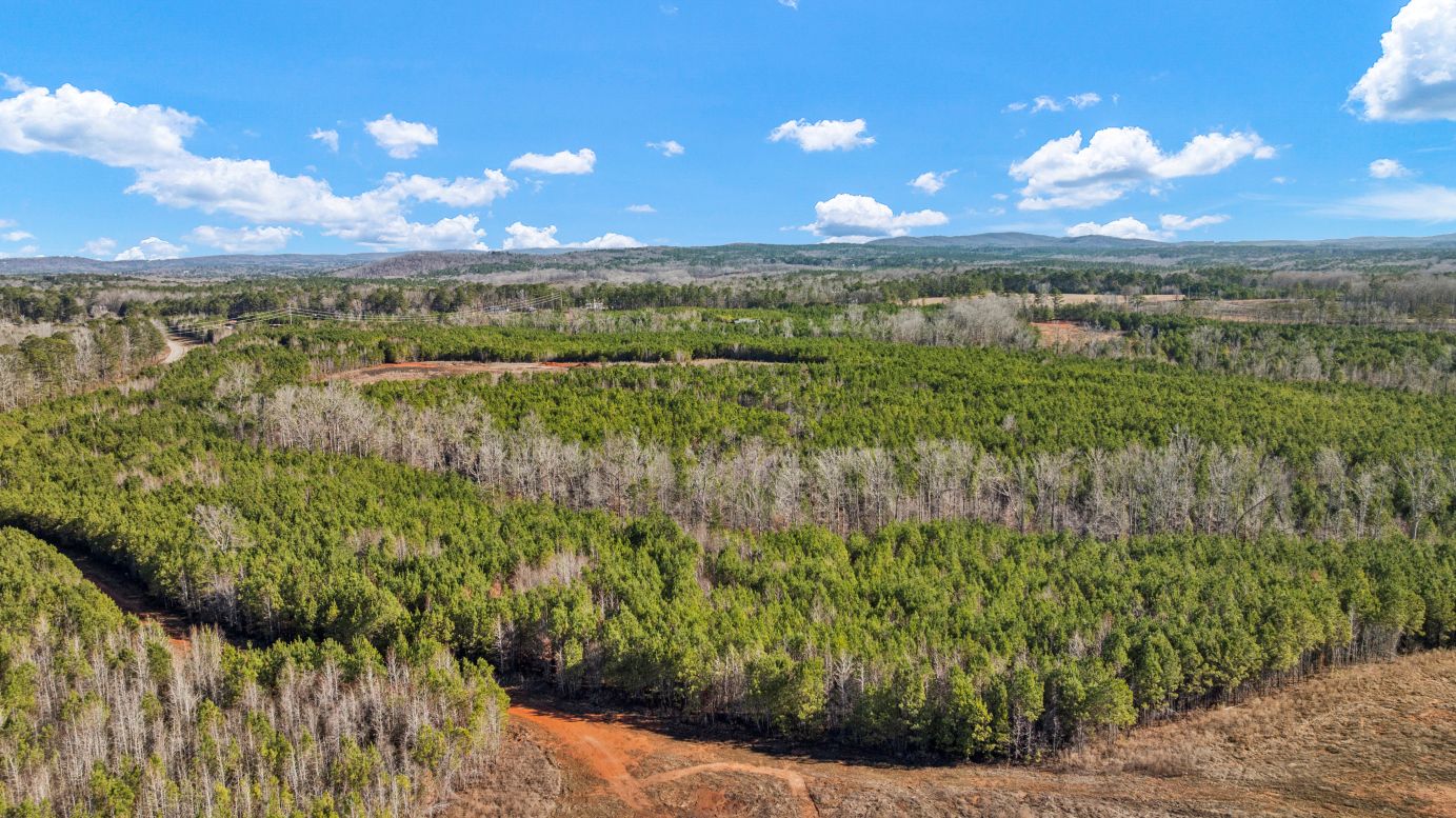 Greeneberry Farms Photo 3