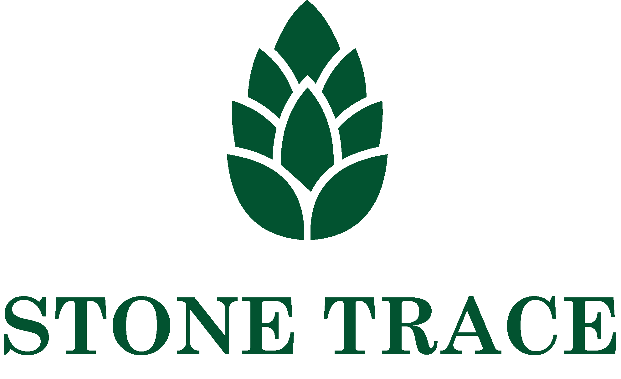 Stone Trace Logo
